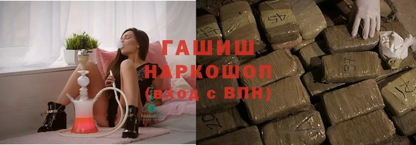 PSILOCYBIN Грязовец